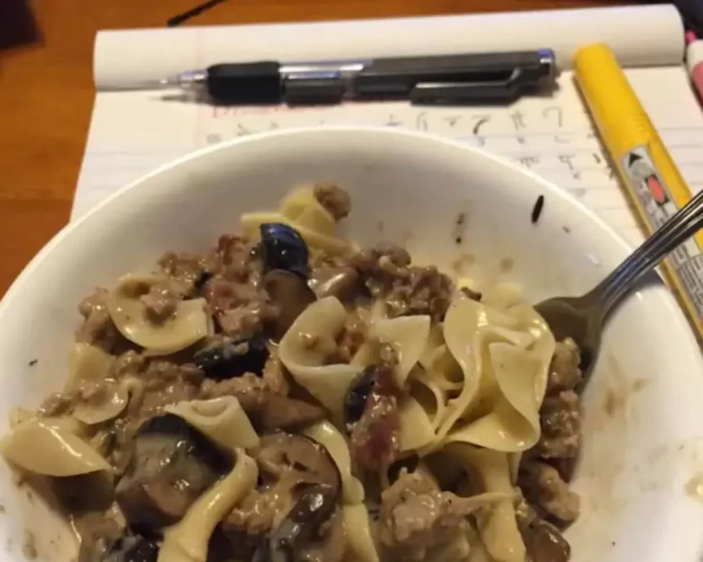 MUSHROOM STROGANOFF RECIPE